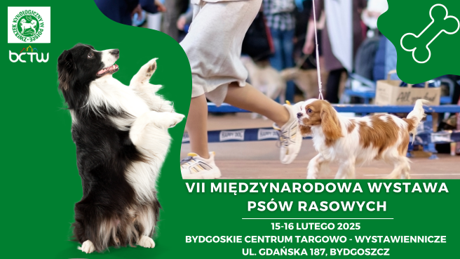 VII Międzynarodowa Wystawa Psów Rasowych 16.02.2025